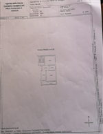 Plants: image 1 0f 4 thumb